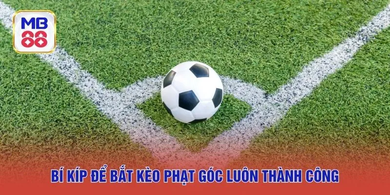 Bí kíp để bắt kèo phạt góc luôn thành công