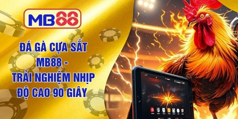 Đá Gà Cựa Sắt MB88 - Trải Nghiệm Nhịp Độ Cao 90 Giây 